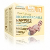 Beaming Baby Size 1 Mini Single Pack (4-13lbs/2-6kgs) 22pcs